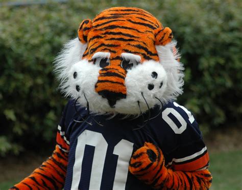 Auburn universitu mascot